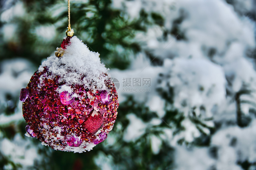 紫色圣诞节灯泡装饰品白色绿色装饰花园金子珍珠松树紫丁香风格图片