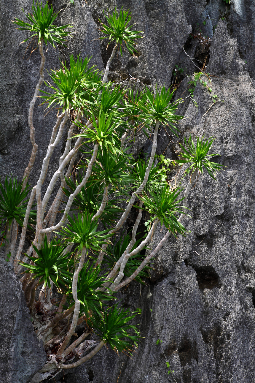 菲律宾自然天堂 自然天堂天空风景洞穴海洋岩石墙纸冠冕危险尖刺石头图片