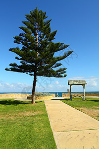澳大利亚Perth海滩办公室晴天天气太阳商业绿地摩天大楼市中心棕榈自行车背景图片