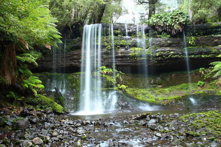 华丽的Russel瀑布在澳大利亚塔斯马尼亚州Mt Field国家公园喷洒公吨溪流苔藓薄雾森林流动峡谷场地丛林飞溅图片