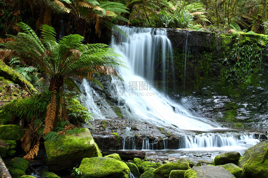 华丽的Russel瀑布在澳大利亚塔斯马尼亚州Mt Field国家公园喷洒飞溅流动薄雾场地公吨溪流森林峡谷苔藓丛林图片