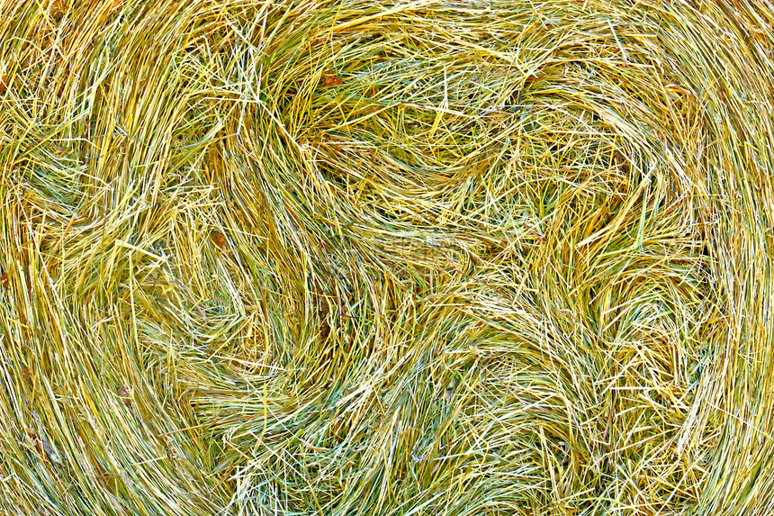 干草球食物稻草农业干草收成圆圈植物草地黄色图片