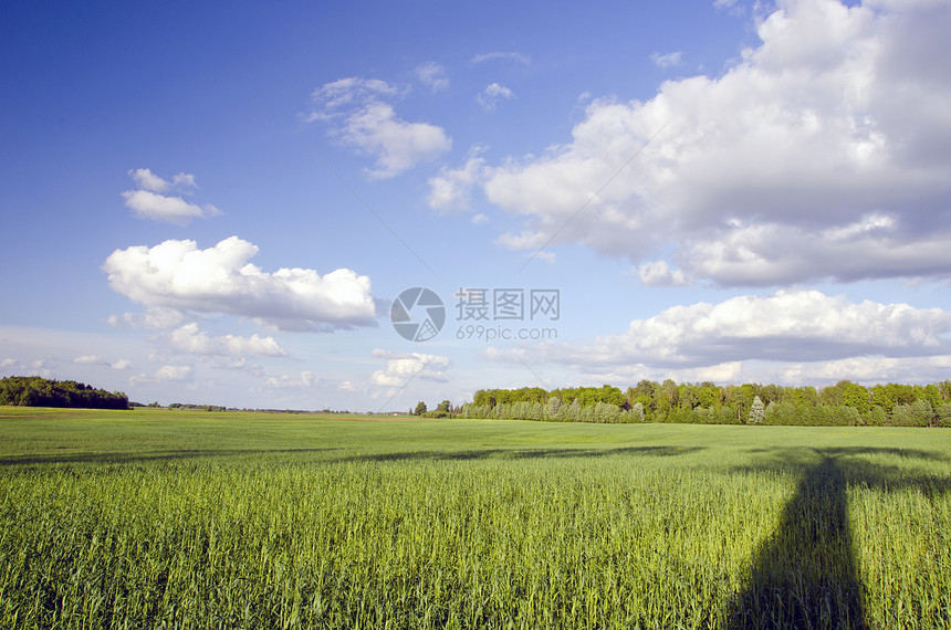 巨大的绿草地和树影 云蓝的天空绿色天气场景季节晴天乡村农村阴影森林场地图片