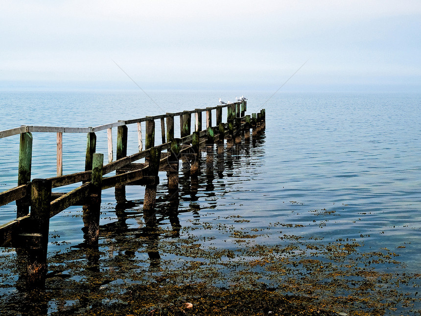 木架脚桥数字艺术的美丽海景海鸥木头港口娱乐孤独海洋天空波浪行人小路图片