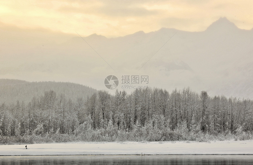 日落时雪中山下童话季节国家全景旅行山脉阳光假期森林天空图片