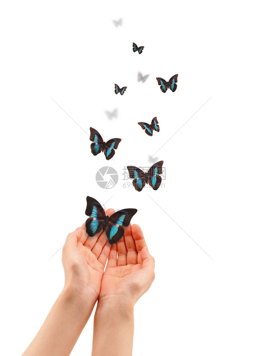 手与蝴蝶白色翅膀蓝色飞行自由手指创造力图片