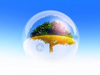 可商用泡泡泡泡树透明度镜子木头生态插图反射庇护所叶子环境玻璃背景