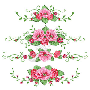 一套玫瑰横幅叶子婚礼边界收藏小屋卡片装饰品插图曲线背景图片