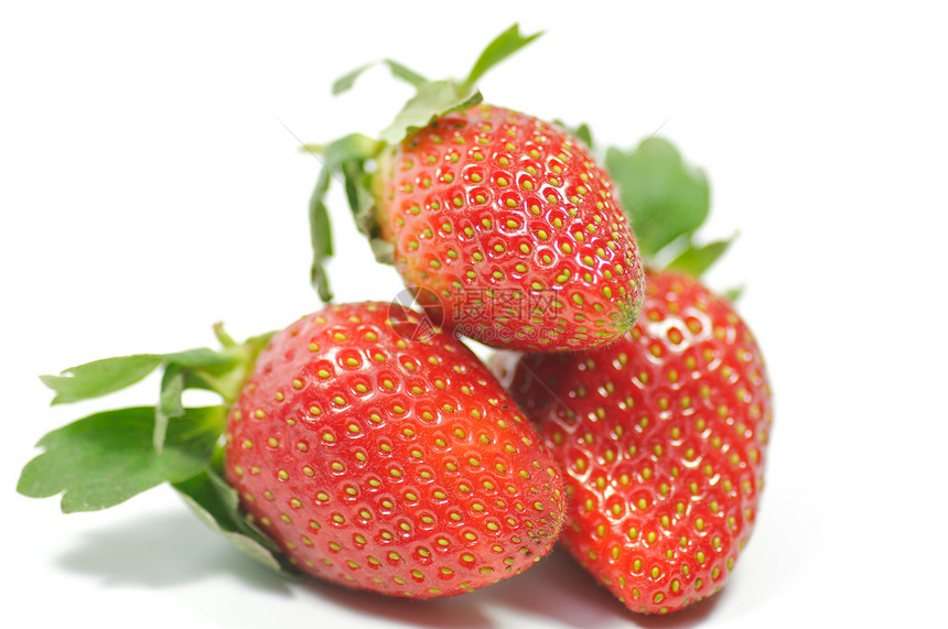 白色背景上隔离的草莓红色种子食物植物水果色彩活力叶子绿色甜食图片