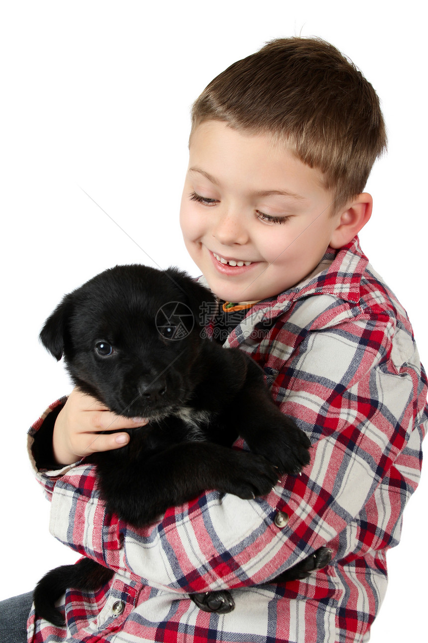 男孩和小狗伴侣男性犬类动物友谊男生金发猎犬衬衫哺乳动物图片