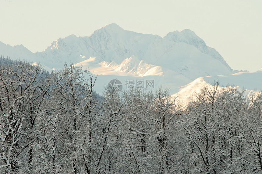 阿拉斯加山脉远足冻结旅游国家天气天空环境高山旅行季节图片