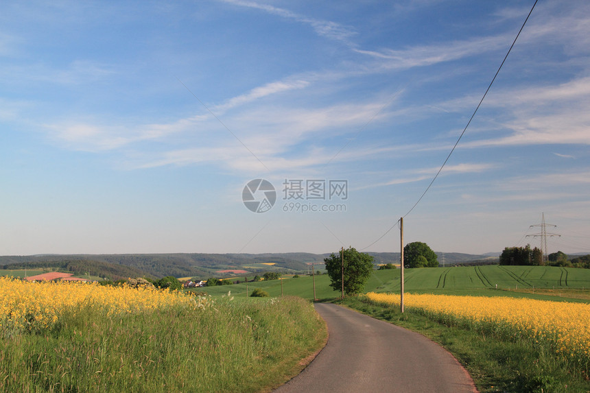 小型小路乡村油菜籽图片