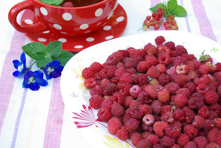 茶茶晚会乡村食物草本维生素红色甜点减肥饮食产品浆果背景图片