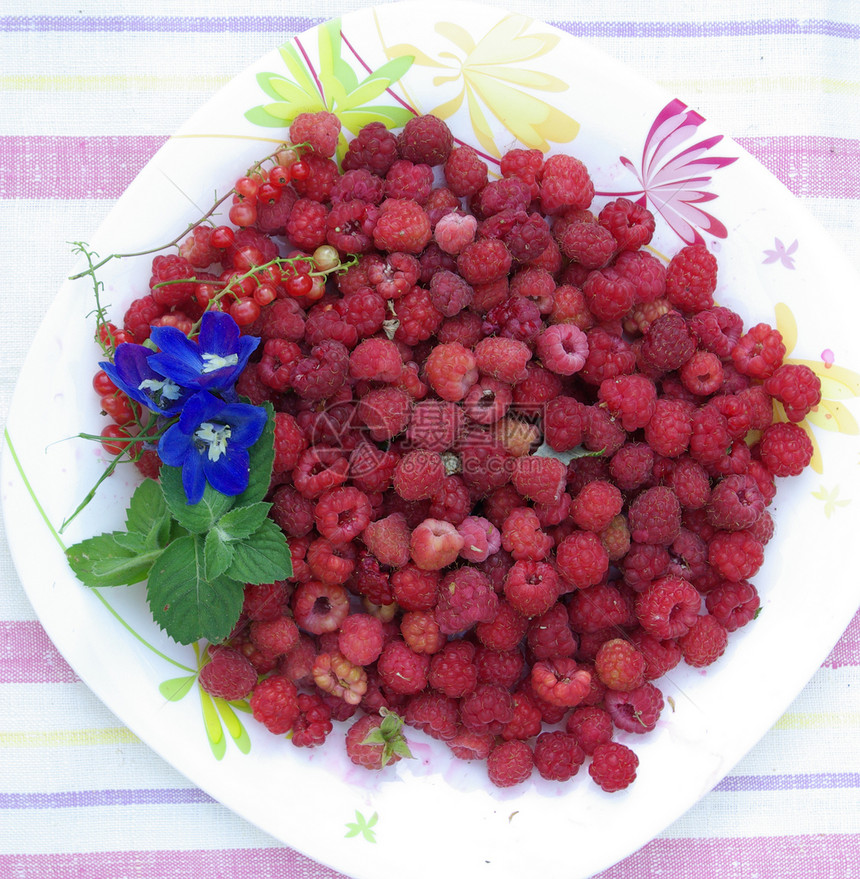 草莓草本食物浆果红色饮食维生素盘子乡村减肥产品图片