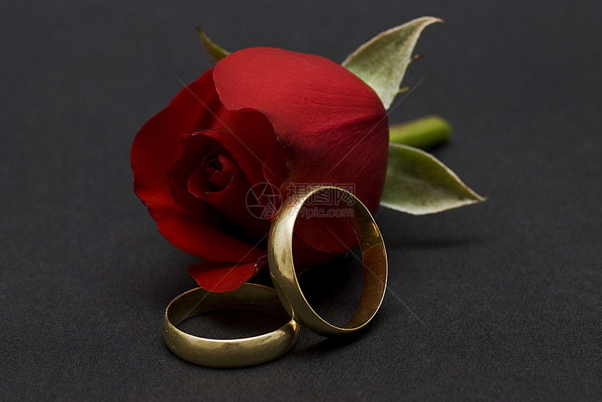 婚环和红玫瑰在黑色上白色玫瑰花朵结婚戒指展示红色婚礼婚姻婚戒礼物图片