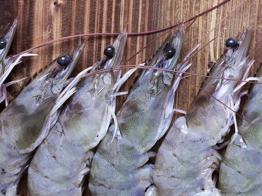 灰虾动物贝类甲壳对虾食物海鲜甲壳类水平图片