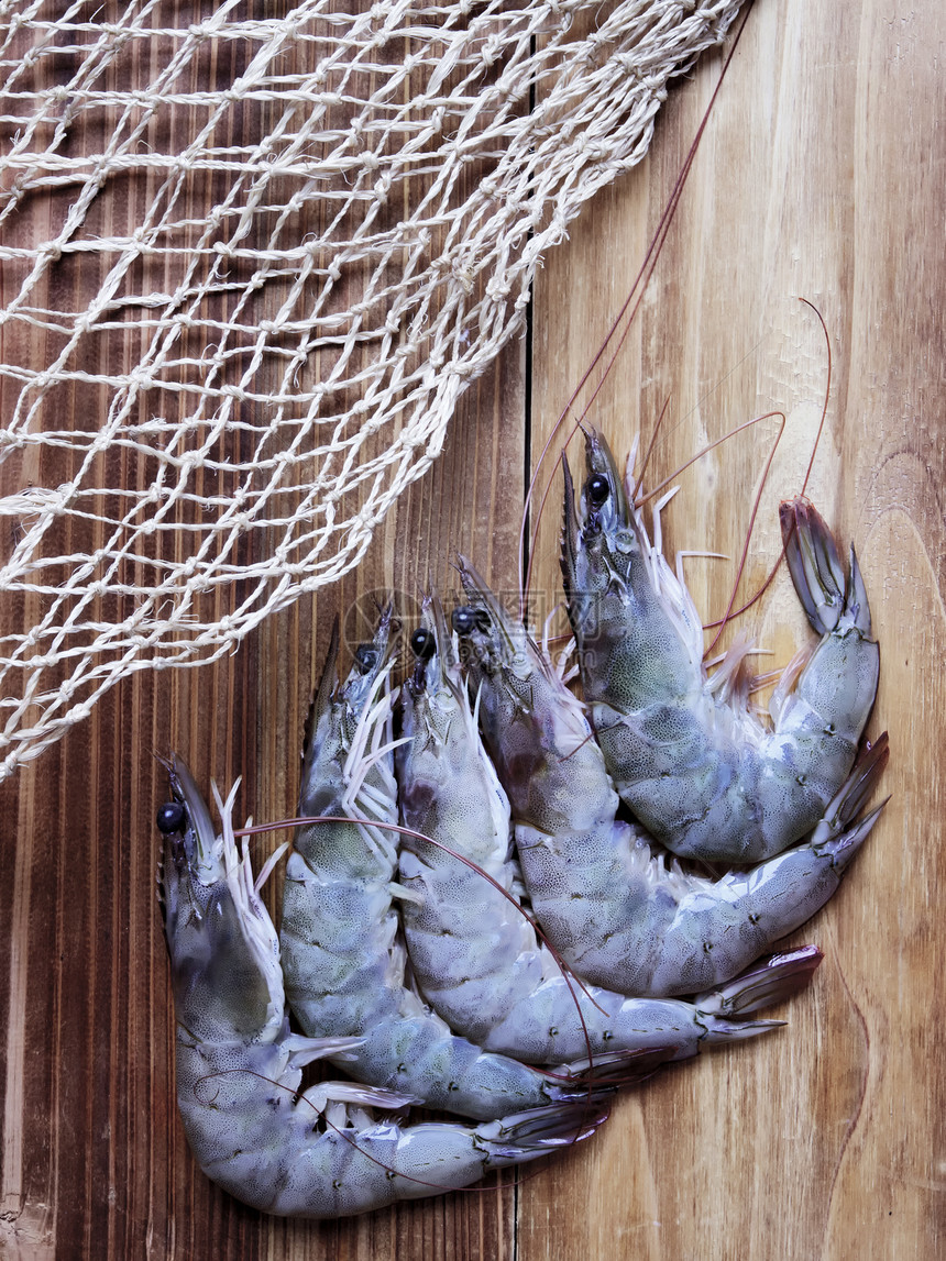 灰虾甲壳类食物动物海鲜对虾甲壳贝类图片