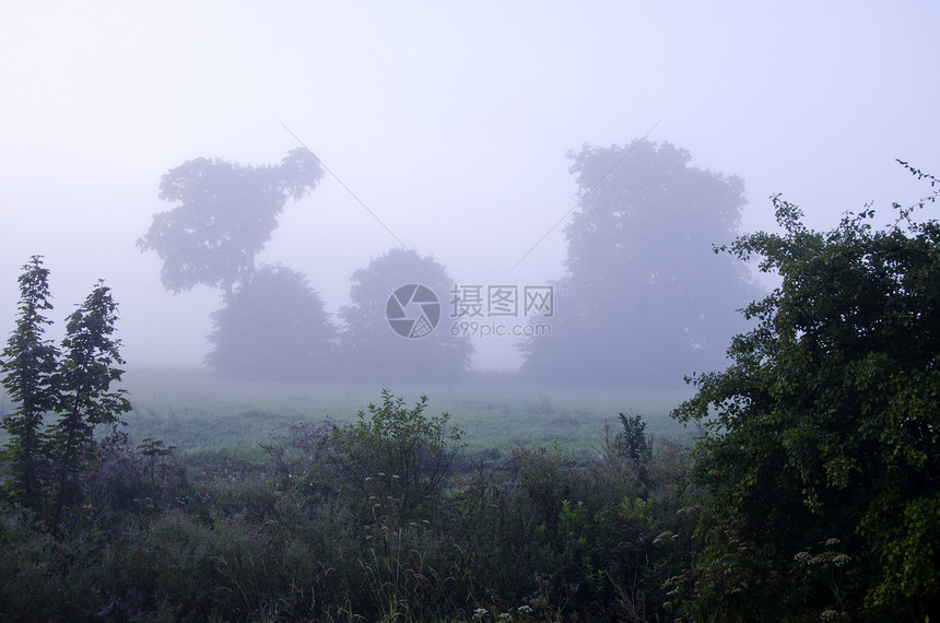 夏季风和清晨雾图片