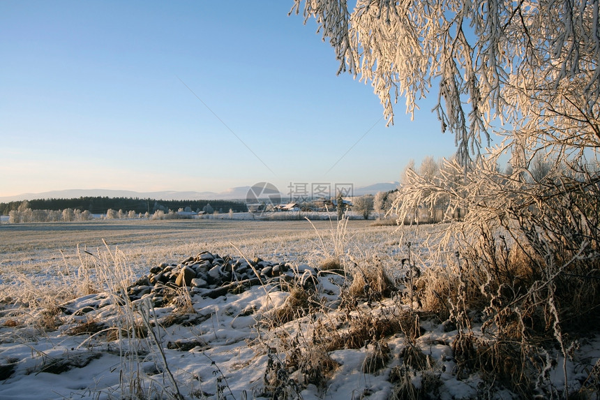 冬季风景场地蓝色天空水晶小路季节冻结晴天太阳场景图片