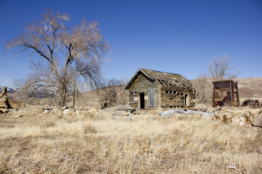 旧遗弃的荒废破烂小屋田园日落风光金子蓝色衬套天空杂草文化窝棚图片