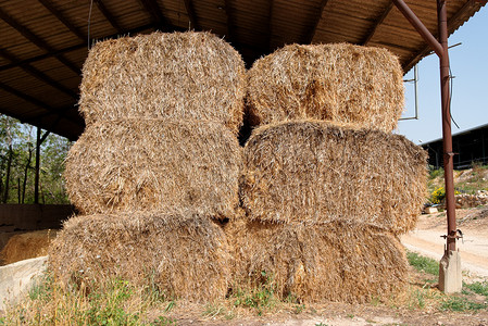 储存供动物饲料的农耕农场的黑桶黄色谷仓动物金字塔吸管农民草堆谷物存储棕色背景图片