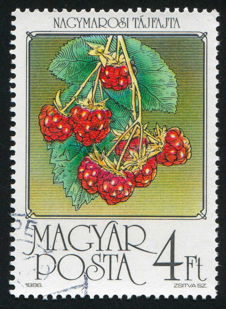 草莓收成植物园艺邮资农业浆果生长水果衬套邮戳图片