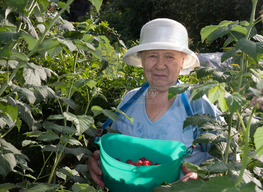 园丁祖母绿色帽子女士园艺闲暇女性照片植物退休图片