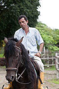 马和骑马者动物热带绿色学校鞍座国家女士女孩男生农场高清图片