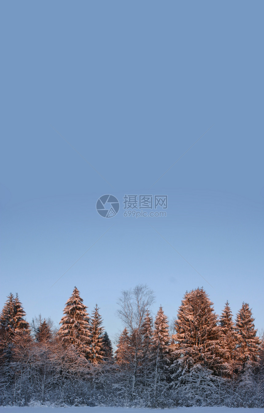 冬天滑雪孤独时间假期季节冷冻单人土地冬景纸牌图片