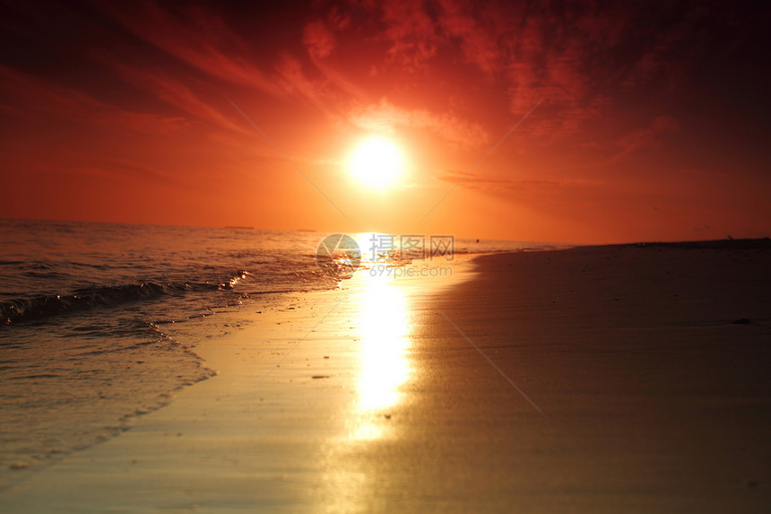 日落在海中天空金子海浪季节海岸线场景地平线热带假期海洋图片