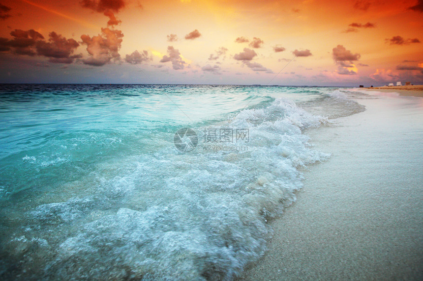 日落在海中天气蓝色太阳地平线橙子假期海岸线季节海浪金子图片