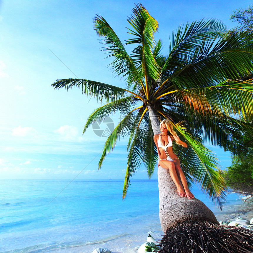 手掌上的女子海景女孩旅行女性热带植物地平线假期温泉海滩图片