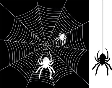 矢量蜘蛛和网络白色艺术黑色陷阱框架危险卡通片建造装饰品插图背景图片