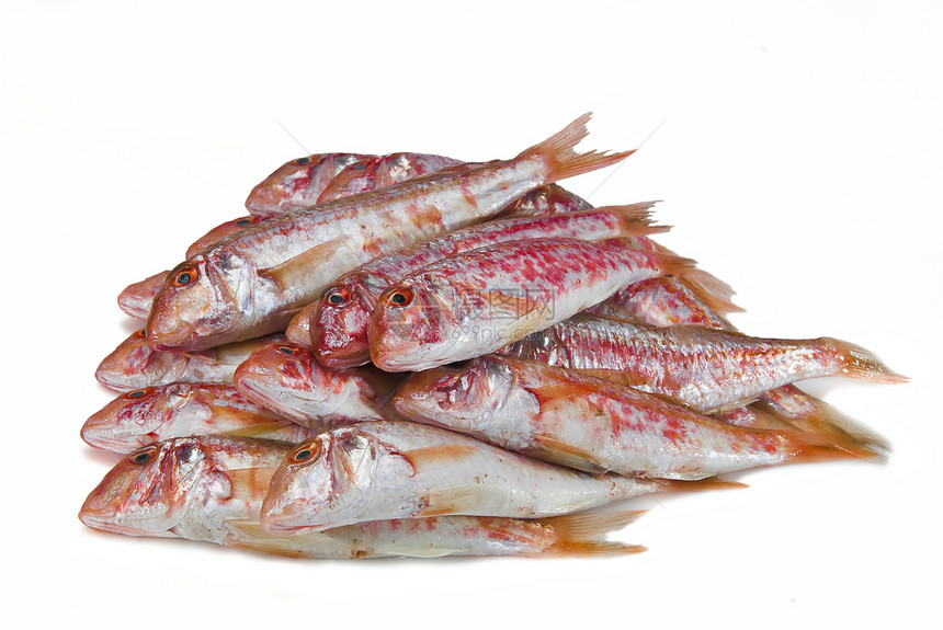 红色长筒粉色美食鲇鱼食物商业动物海鲜烹饪饮食沙拉图片
