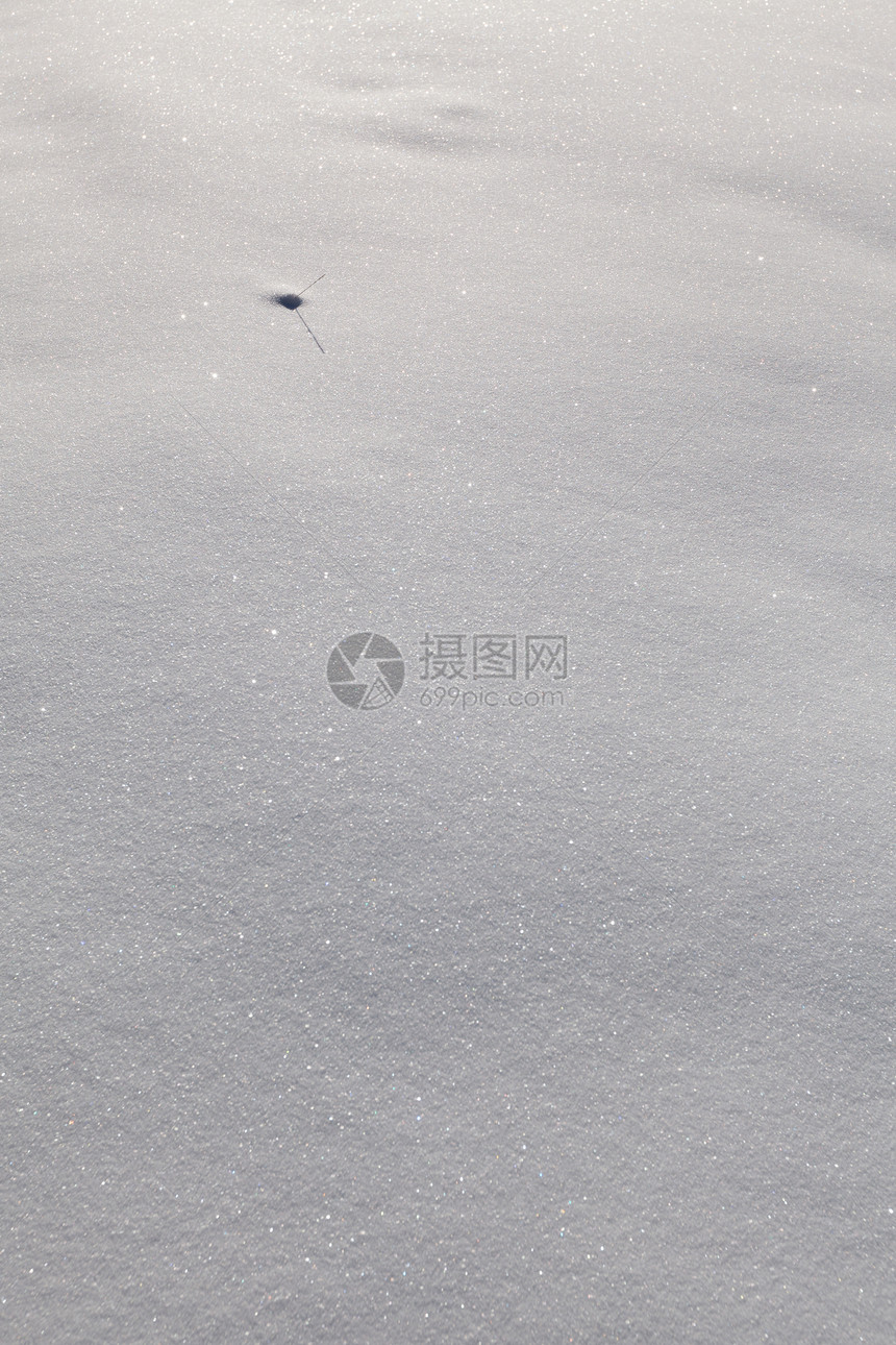 雪地毯阳光季节白色晴天天气冻结雪花寒意闪光大雪图片