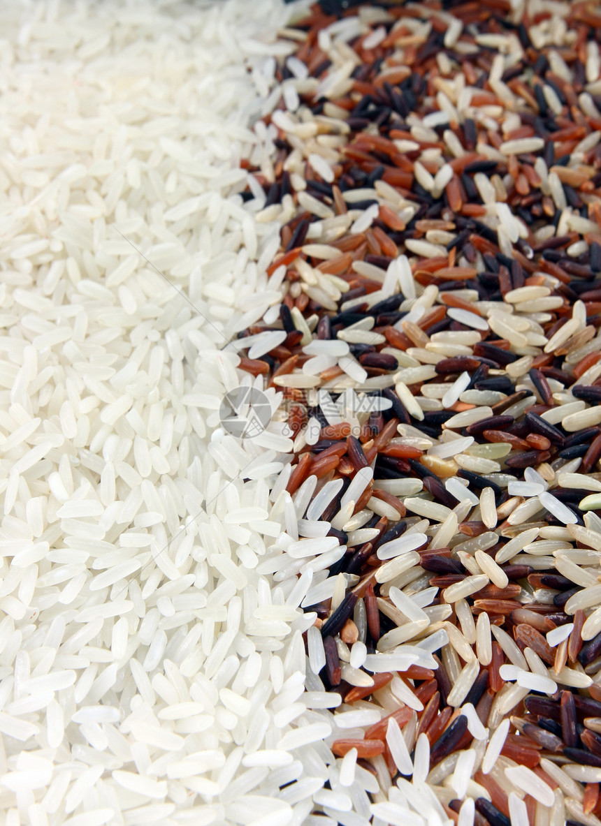 稻米背景卵子文化烹饪营养粮食餐厅主食种子三位一体午餐图片
