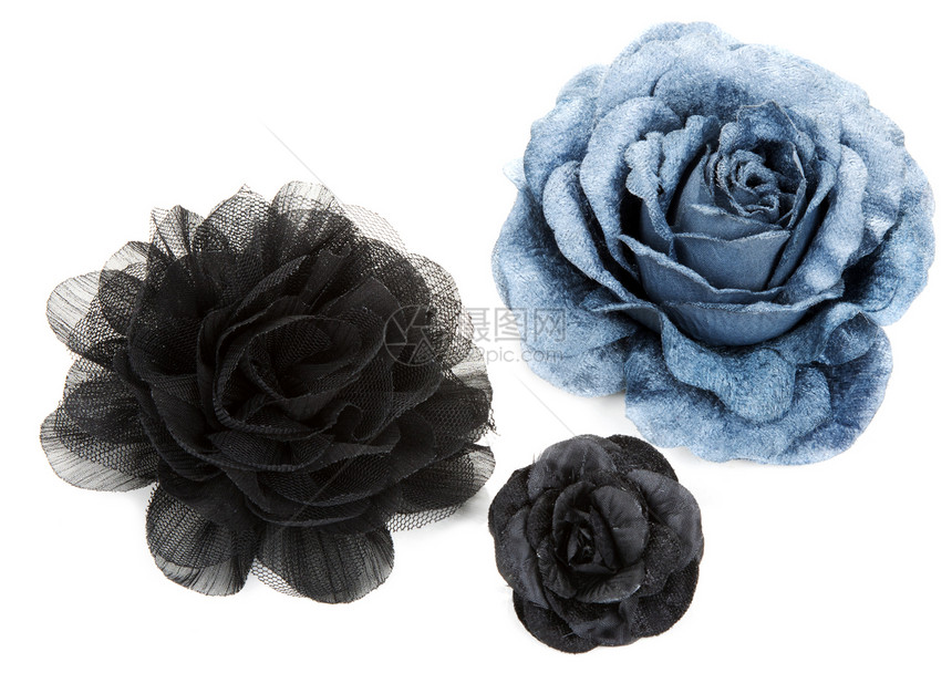 两朵黑色花和一朵蓝色花 从蕾丝上玫瑰图片