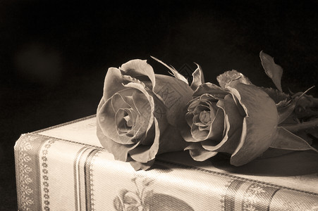 红玫瑰和古书画书红色花束庆典背景图片