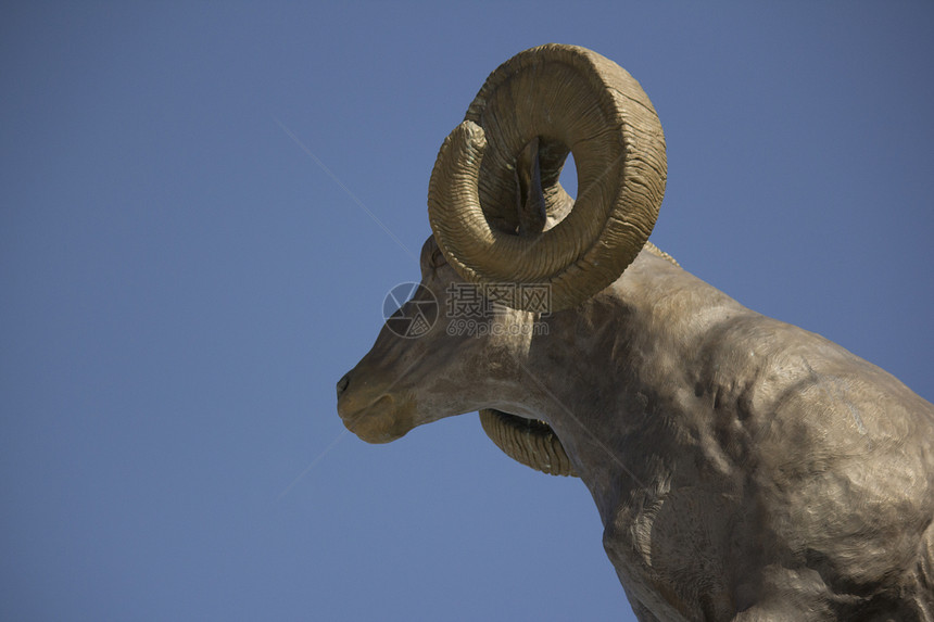 青铜大角羊雕像号角动物金属力量人脸哺乳动物野外动物羊群兽头内存图片