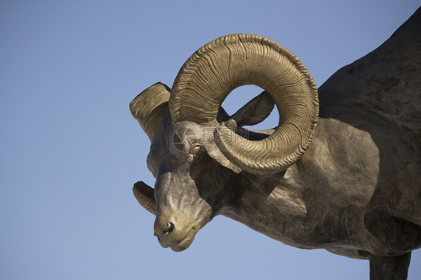 青铜大角羊雕像羊群号角人脸金属力量哺乳动物内存兽头动物野外动物图片