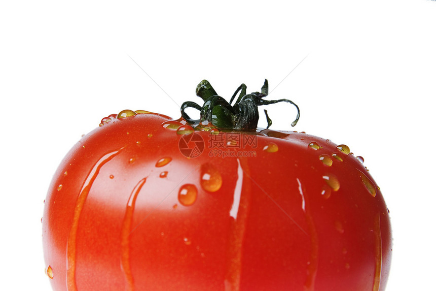 覆盖熟熟番茄图片