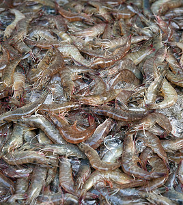 鲜虾海鲜食物背景图片