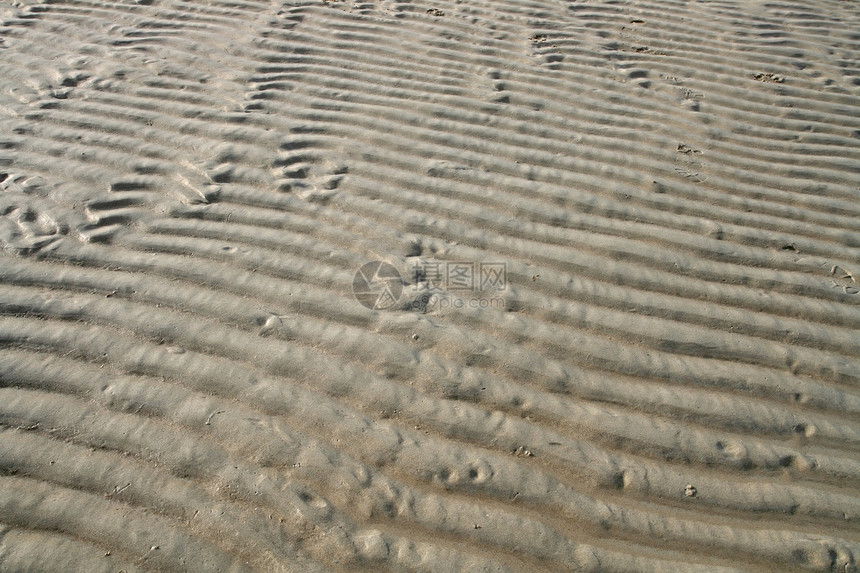 海滩模式波纹太阳地标沙漠沙丘阴影干旱海洋地形金子图片
