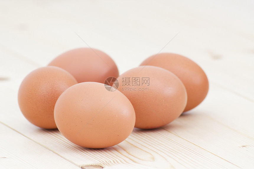 蛋胚胎家禽产品生活纸板团体棕色纸盒母鸡白色图片