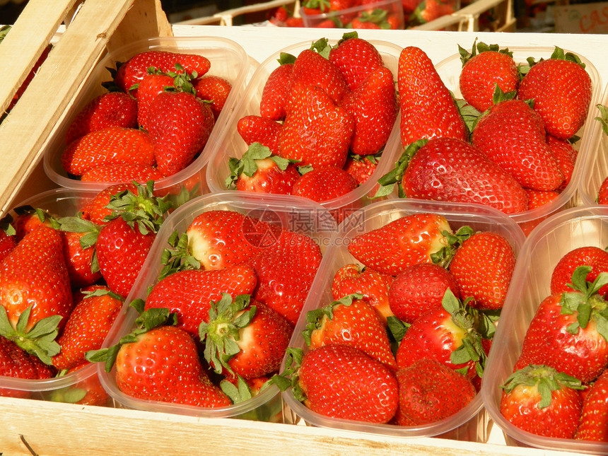 草莓食物浆果甜点红色营养美食图片