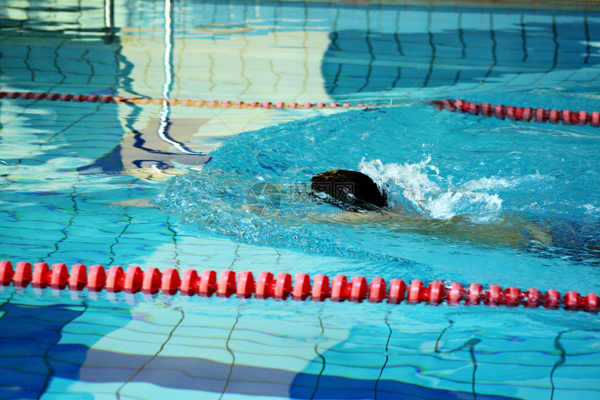 男人在游泳池游泳蝴蝶竞赛车道闲暇游泳者运动员游戏训练女士速度图片