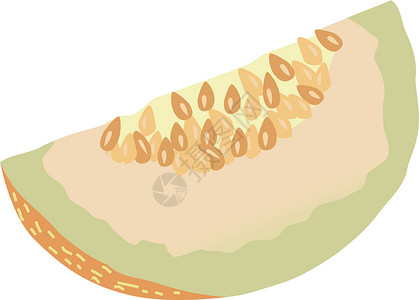 六安瓜片瓜片甜瓜水果食物甘露饮食插画