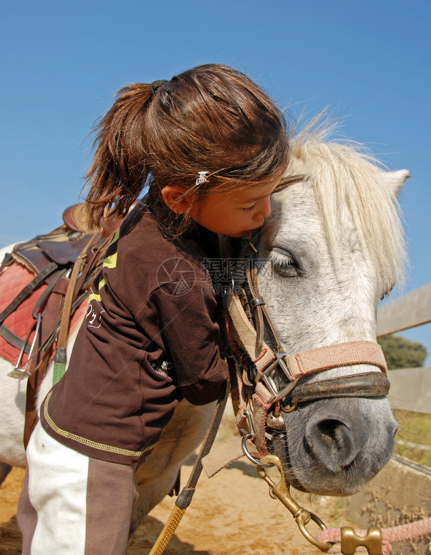 儿童和小马女孩绳索运动天空白色宠物动物骑马友谊接吻图片
