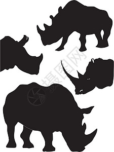 犀牛的轮廓图集背景图片