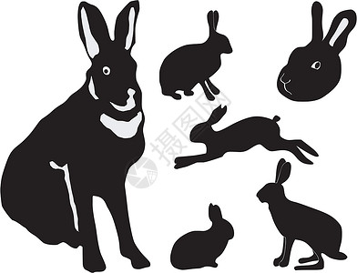 野兔的轮廓图集背景图片